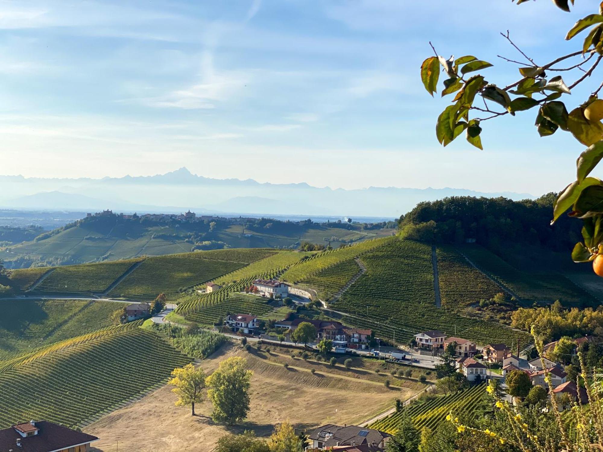 Just Langhe Casa Barolo Villa Novello Ngoại thất bức ảnh