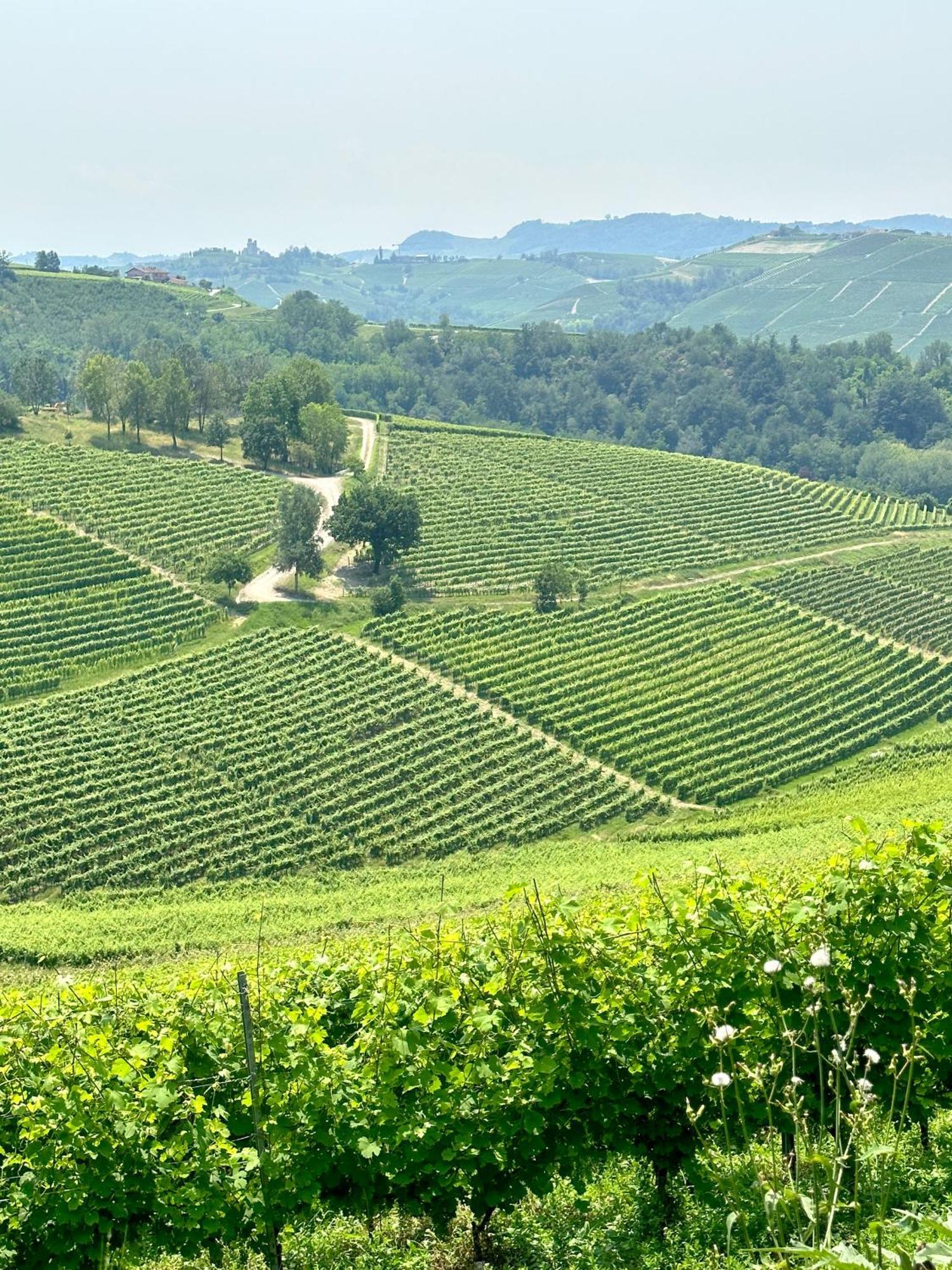 Just Langhe Casa Barolo Villa Novello Ngoại thất bức ảnh